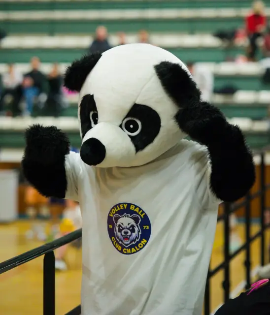 Grand Nancy Volley Ball vs Chalon-sur-Saone — photo 12