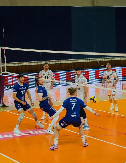 Grand Nancy Volley Ball vs Chalon-sur-Saone — photo 7