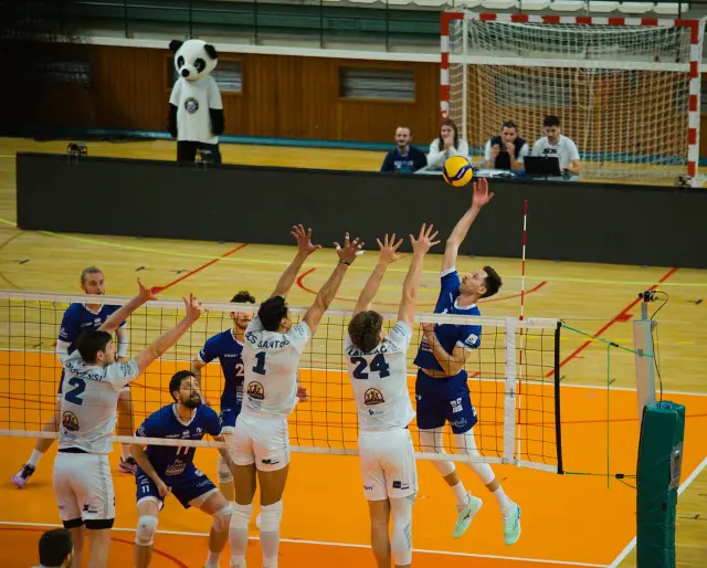 Grand Nancy Volley Ball vs Chalon-sur-Saone — photo 31